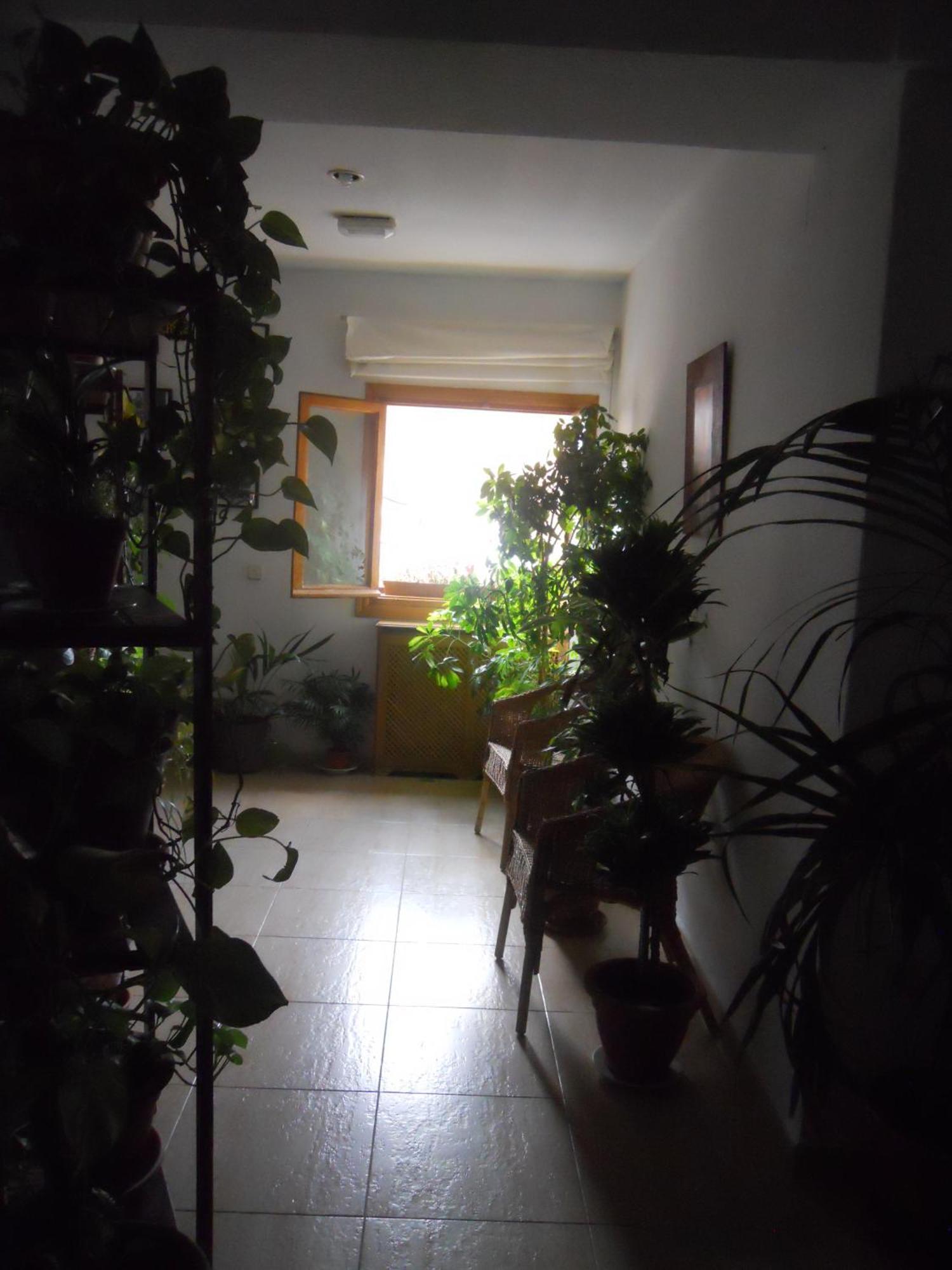 Hostal El Descanso Madrid Kültér fotó