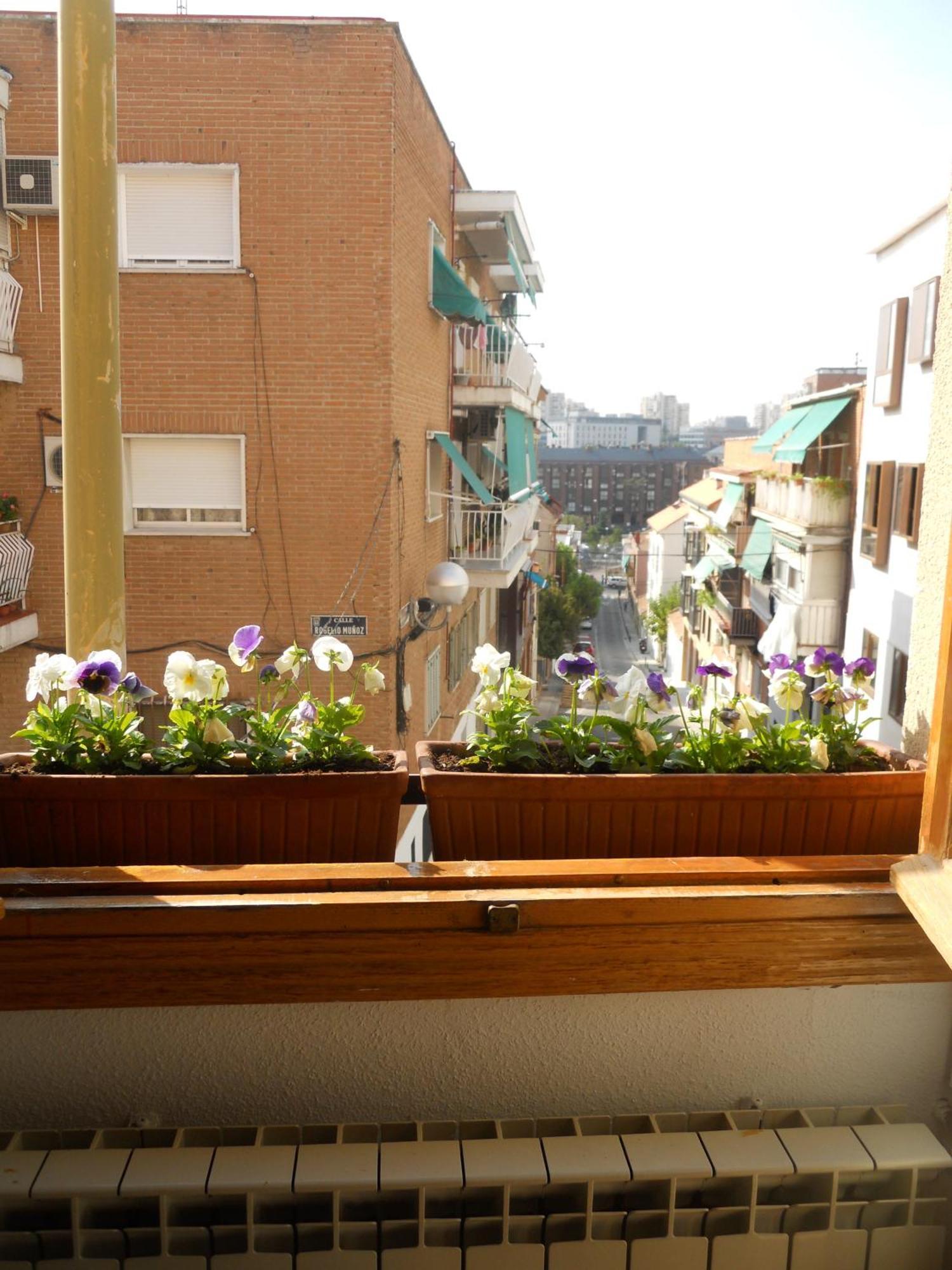 Hostal El Descanso Madrid Kültér fotó