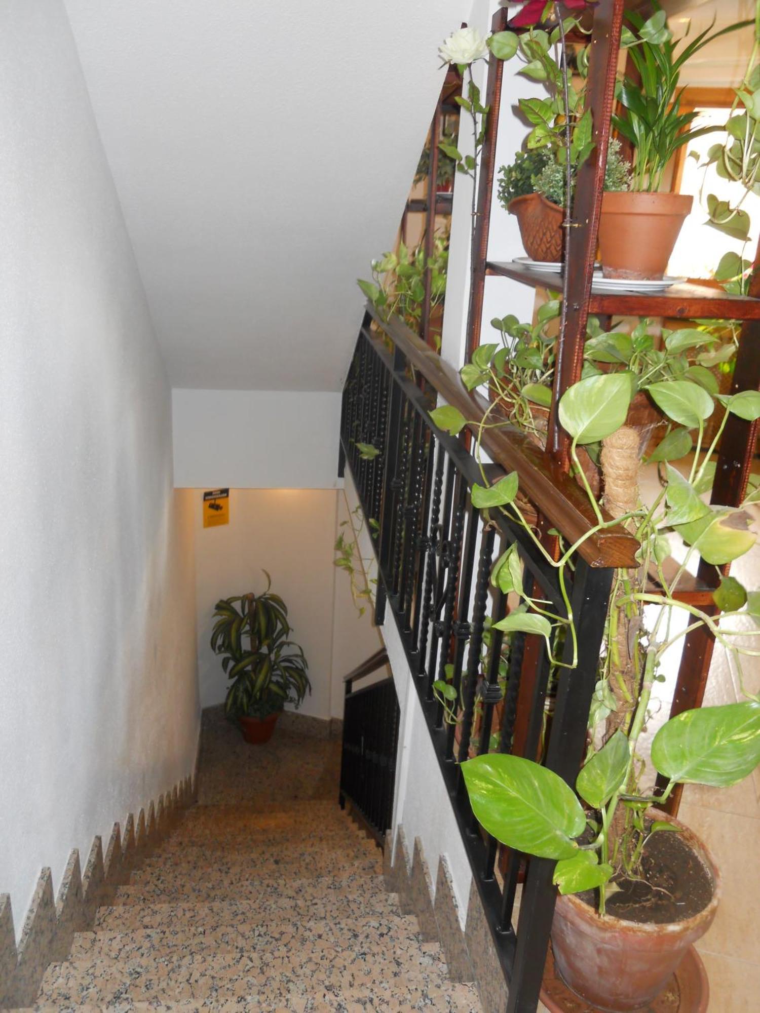 Hostal El Descanso Madrid Kültér fotó